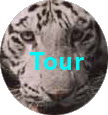 Tour